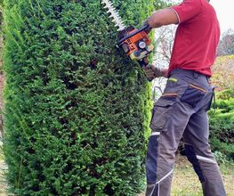 Clotaire les Espaces Verts image 11