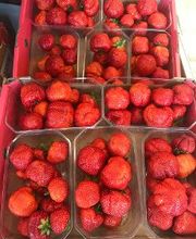 SUPERMARCHÉ G20 image 8