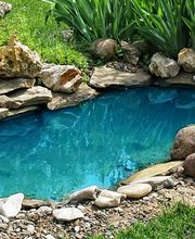 Distinctive Lawn & Landscape image 4