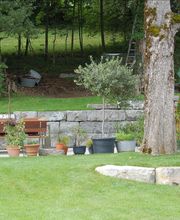 Baumberger AG Bild 2