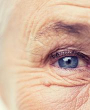 Dr. Adjadj Elias Bild 3