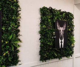 NOVA CAFE image 5