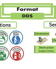Format DDS image 11
