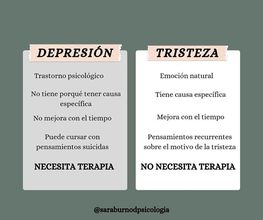 231372764-1-c9CD8OSoro1775896281213.jpeg
