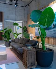 Widler Gartenbau + Floristik AG Bild 13