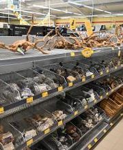 DAS FUTTERHAUS - Vechta Bild 4