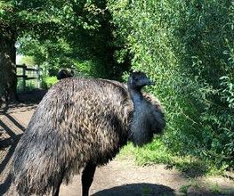 Tierpark Nadermann Bild 5