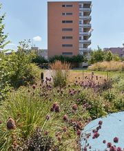 garten•kultur Bild 2