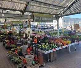 HORNBACH Gartencenter Binzen Bild 2