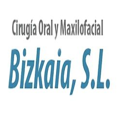 logobizkaia.jpg