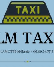 LM taxi image 1