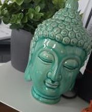 Dekoration. Buddhas Kopf aus Porzellan und eine grüne Topfpflanze.