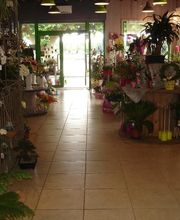 Au Quai des Fleurs image 5