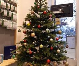 Holzwarth Apotheke Gladbeck Bild 5