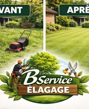 BC Service Élagage image 1