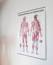 NOVOTERGUM Physiotherapie Euskirchen Bild 4