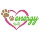 energy4pets Katja Schaalburg