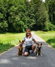 Wind im Hundefell Bild 1