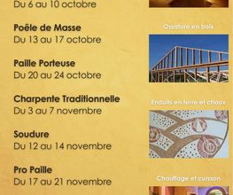 M.V. Habitation image 12