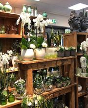 Blumen Interfleur Floristik & Wohnaccessoires Bild 9