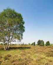 Hotel am Waldbad Bild 18