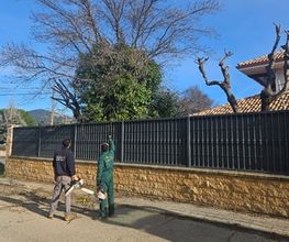 Jardines_La_Sierra_Moralzarzal_Jardineros_Podas_Cesped_Tejados_Canalones_3.jpeg