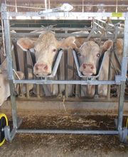 S.M.A Saignes Machines Agricoles image 8