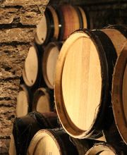 Domaine Besancenot EARL image 6