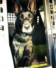 Defensive Tactics Academy e. K. Bild 2