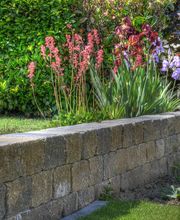 Gartenbau Schlup AG Bild 6