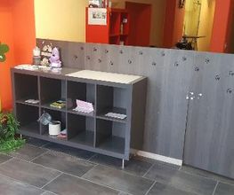Hundesalon Pet Cut's Bild 20