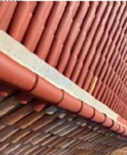 Lenoir Steeve image 15