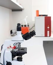 Kleintierpraxis Seegarten AG Bild 9