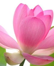 Aux Couleurs De Soi image 6