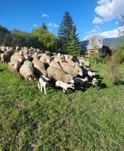 Hôtel Restaurant Le Chalvet image 20