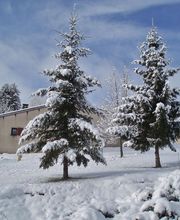 Village Vacances du Bleymard image 11