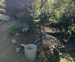 Hausmeisterservice Jung & Jung Bild 3
