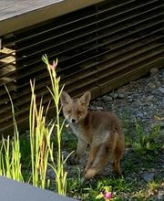 Immobilien Verwaltung und Bewirtschaftung | LIVEG | Zürich und Umgebung Bild 8