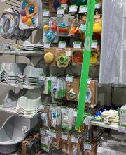 Orchestra LA ROCHE SUR YON image 14