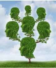 Collin Pradat Laurence image 1