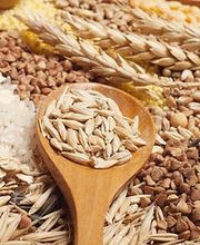 Chez Andrea Bio Bild 10