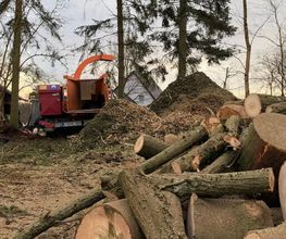Baumservice Gippert GbR Bild 3