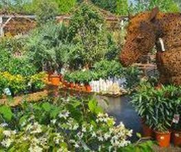 JARDILAND image 2