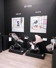 ORCHESTRA AJACCIO Sarrola-Carcopino image 13