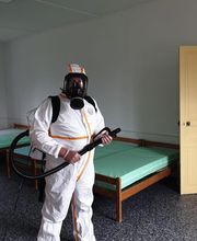 Protec Nuisibles image 13