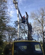 Vertical'Elagage image 2