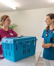 Kleintierpraxis Dr. Claudia Keller Bild 8