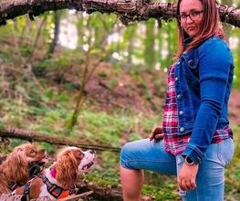 Hundezentrum Lapki Bild 6