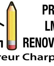 Pro LM Renovation image 1