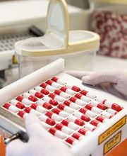 Gallery Professionale